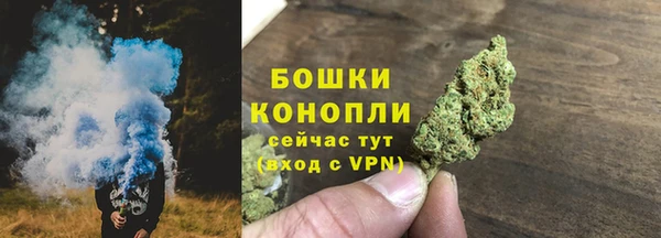 mix Инта