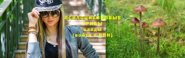 соль ск Иннополис