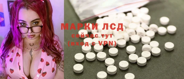 mix Инта