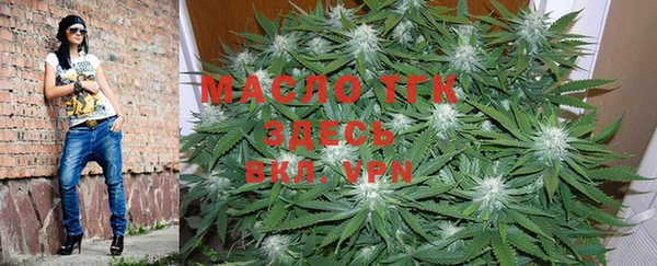 mix Инта